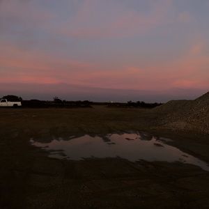 Meet your Posher, Sadie